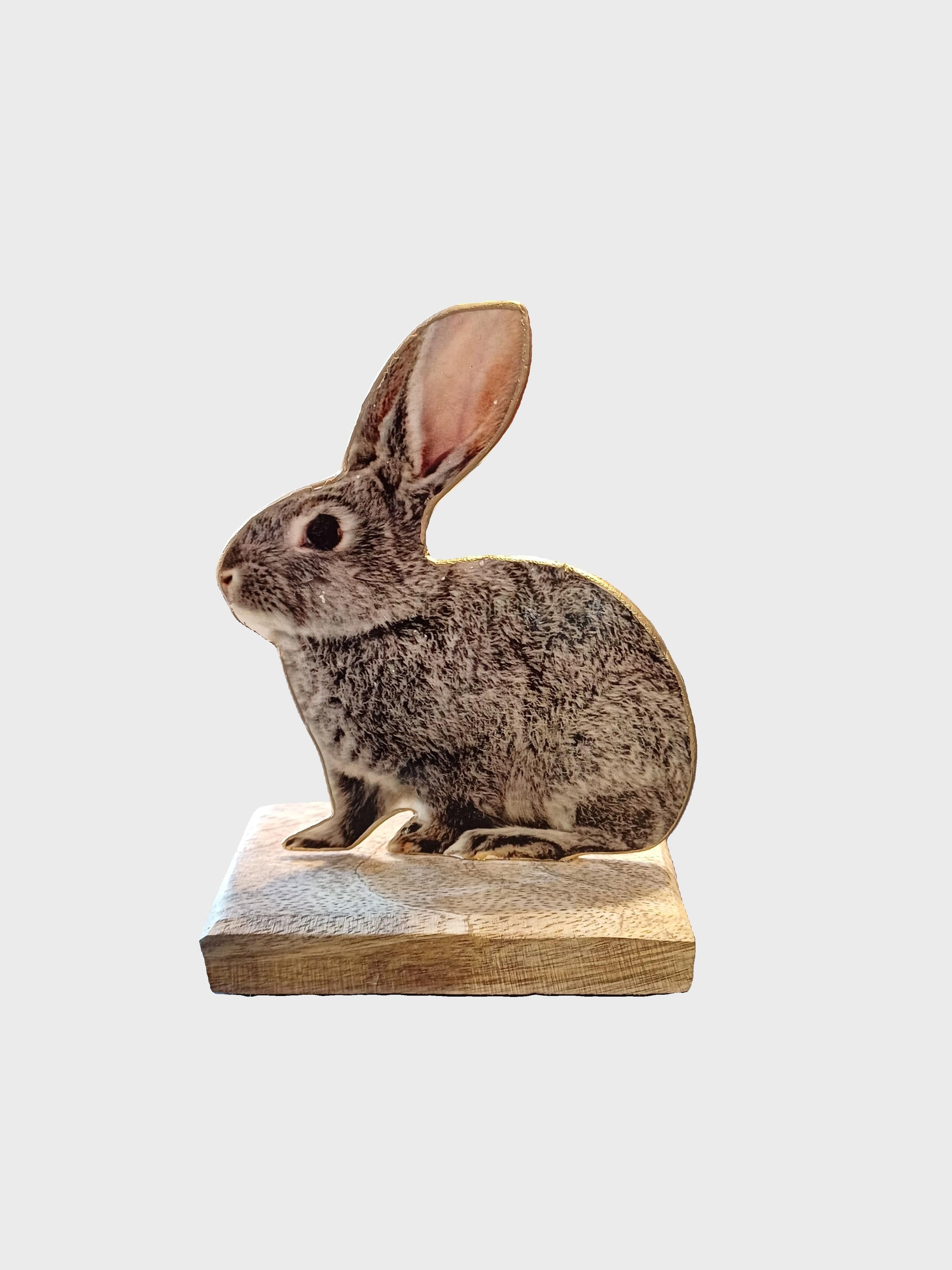 Hase "Le Fleurs" aus Metall auf einem Holzsockel in 2 Farben erhältlich. Auf der Rückseite befindet sich das selbe Motiv.
Diese beiden Hasen gibt es auch noch in einer größeren Variante
Braun: L x B x H: ca. 12 x 5 x 13,5cm
Grau: L x B x H: ca. 10,5 x 5 x 13,5 cm
Material: Metall, Holz
Farben: brau, grau
Lieferumfang: 1 Hase in der ausgesuchten Variante