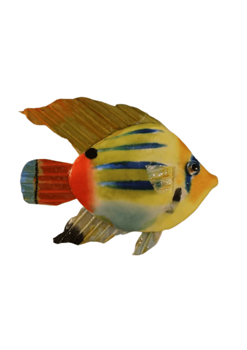 Papageienfische - verschiedene Modelle - B 13 cm x H 13 cm