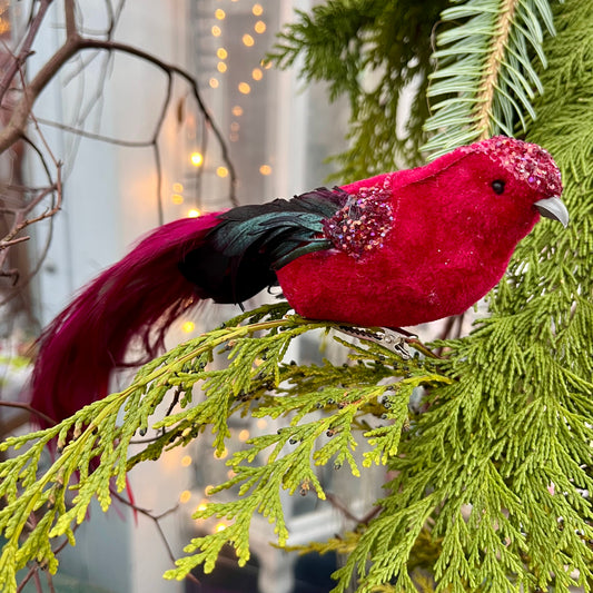 Vogel - mit Federn - Styropor - bordeaux - ca. 25 cm