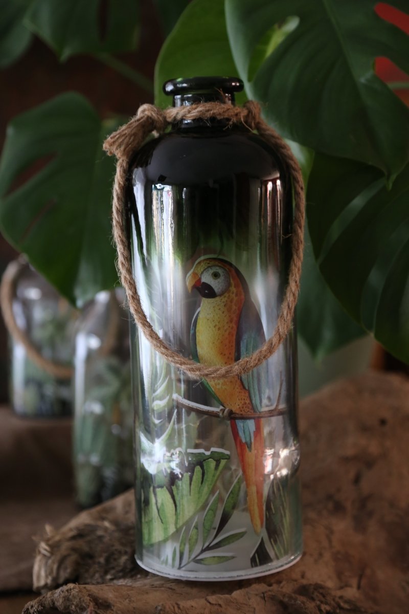 Laterne - Lichterkette in der Flasche - Dschungel - mit Soundeffekt - B 11 cm x H 31 cm - S´Wichtal