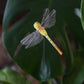 Libelle auf Draht - Styropor - Kunststoffgewebe - verschiedene Farben - B 7,5 cm x H 17,0 cm - S´Wichtal
