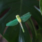 Libelle auf Draht - Styropor - Kunststoffgewebe - verschiedene Farben - B 7,5 cm x H 17,0 cm - S´Wichtal